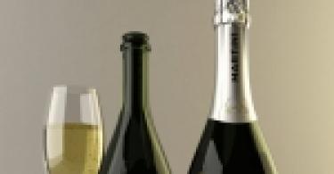 Ламбруско — шампанское или игристое вино?